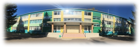 Малинская средняя школа Ступинского района