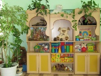 предметно-пространственная среда в детском саду  № 16 «Елочка»