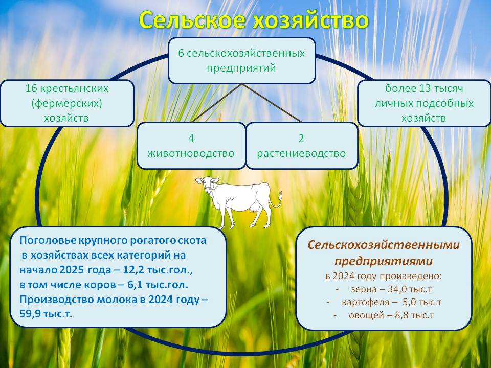 Сельское хозяйство главн стр верх