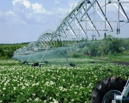 Сельское хозяйство Ступинского района