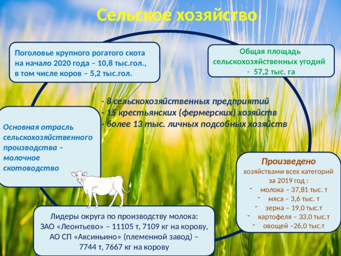 сх2019 сх2019