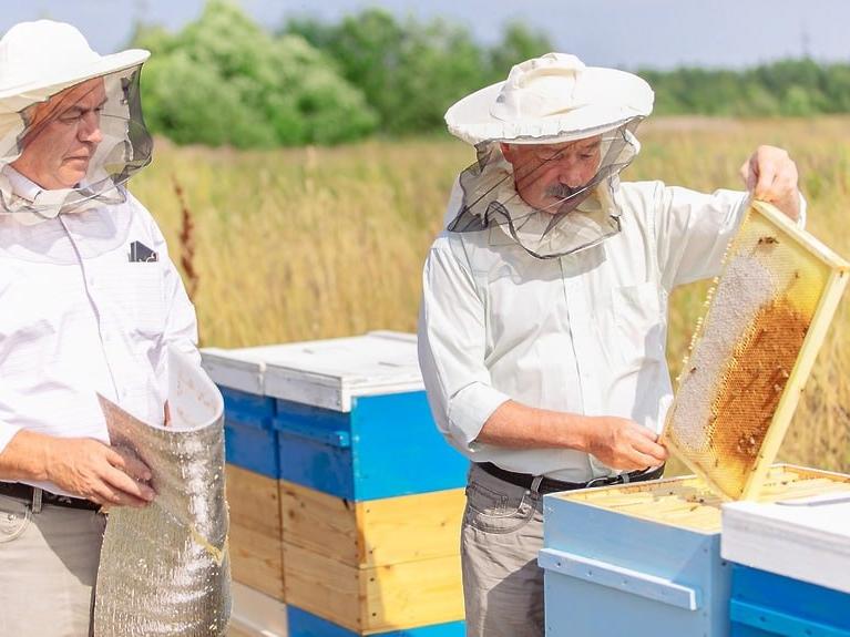 1 сентября вступают в силу изменения в законы «О безопасном обращении с пестицидами и агрохимикатами» и «О пчеловодстве в Российской Федерации»