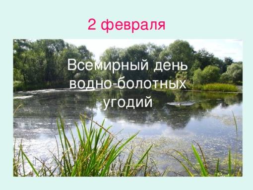 2 февраля – Всемирный день водно-болотных угодий