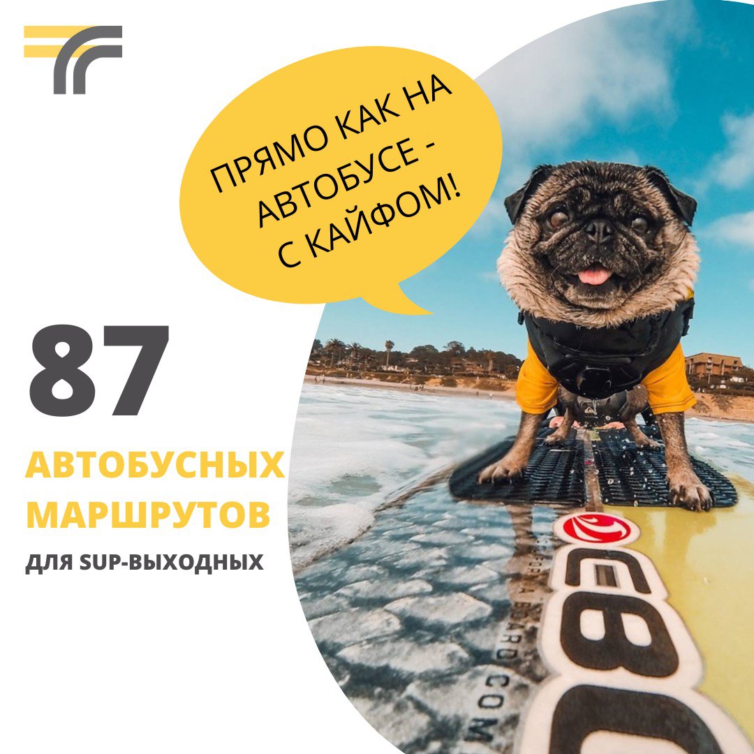 87 автобусных маршрутов для катания на сапбордах