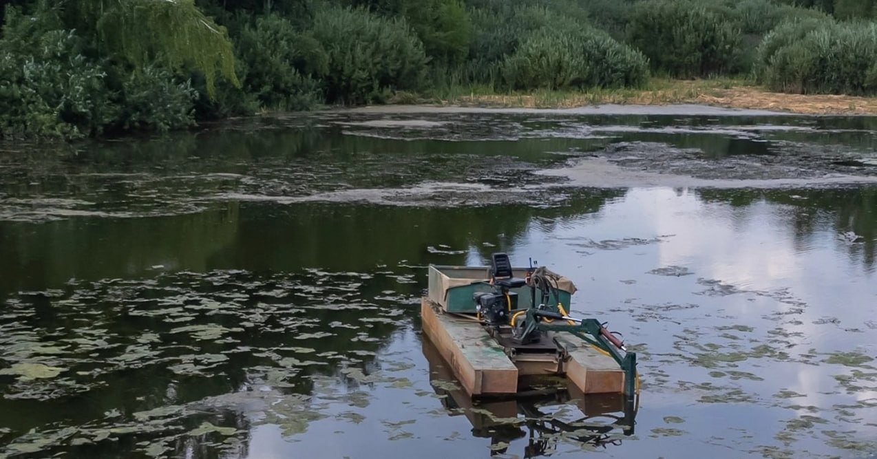 Два пруда расчистят в городском округе Ступино в этом году / Администрация  городского округа Ступино