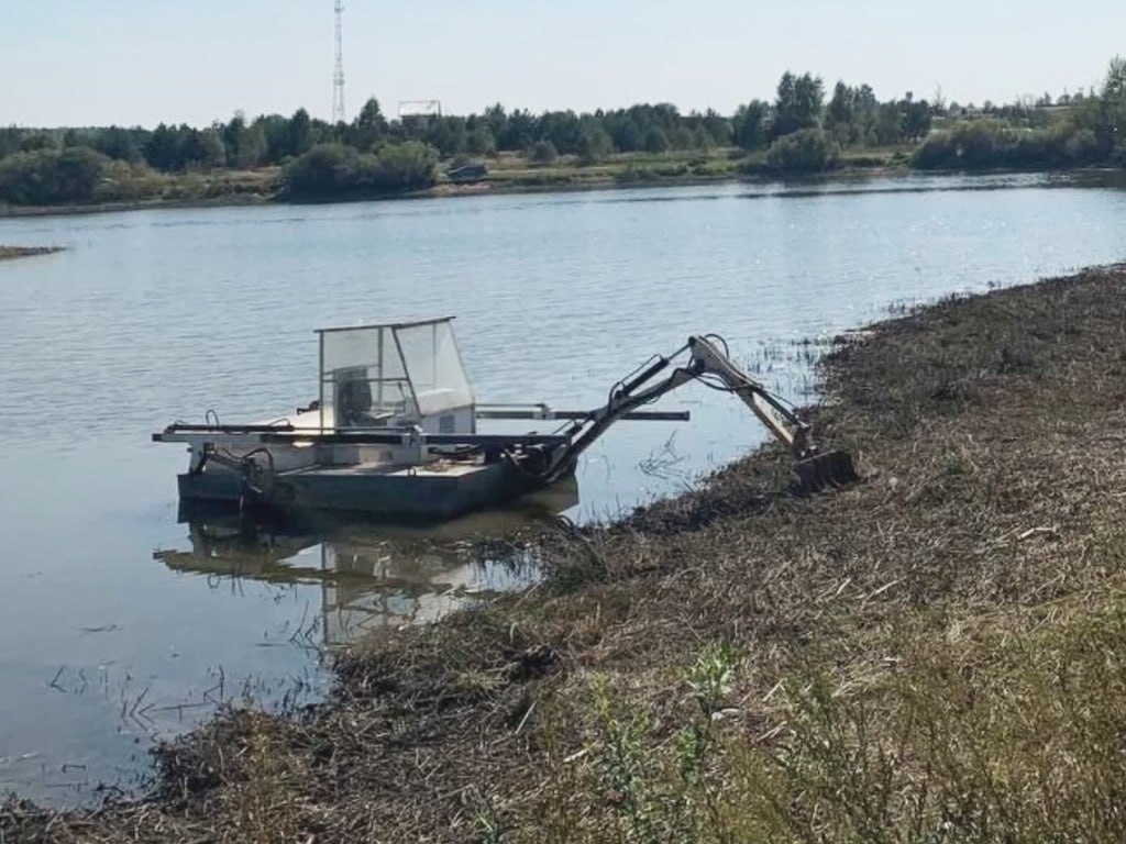 Два водоема расчистили в Ступино по программе «100 прудов и озер»