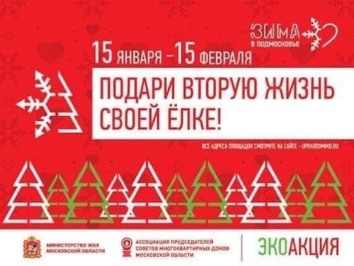 Экологическая акция «Подари своей елке вторую жизнь!» пройдет в Московской области