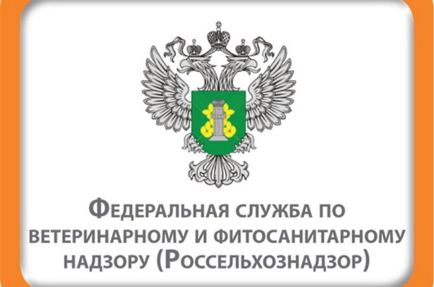 Служба по ветеринарному надзору. Россельхознадзор. Ветеринарному и фитосанитарному надзору. Служба по ветеринарному и фитосанитарному надзору. Россельхознадзор ветеринарный надзор.