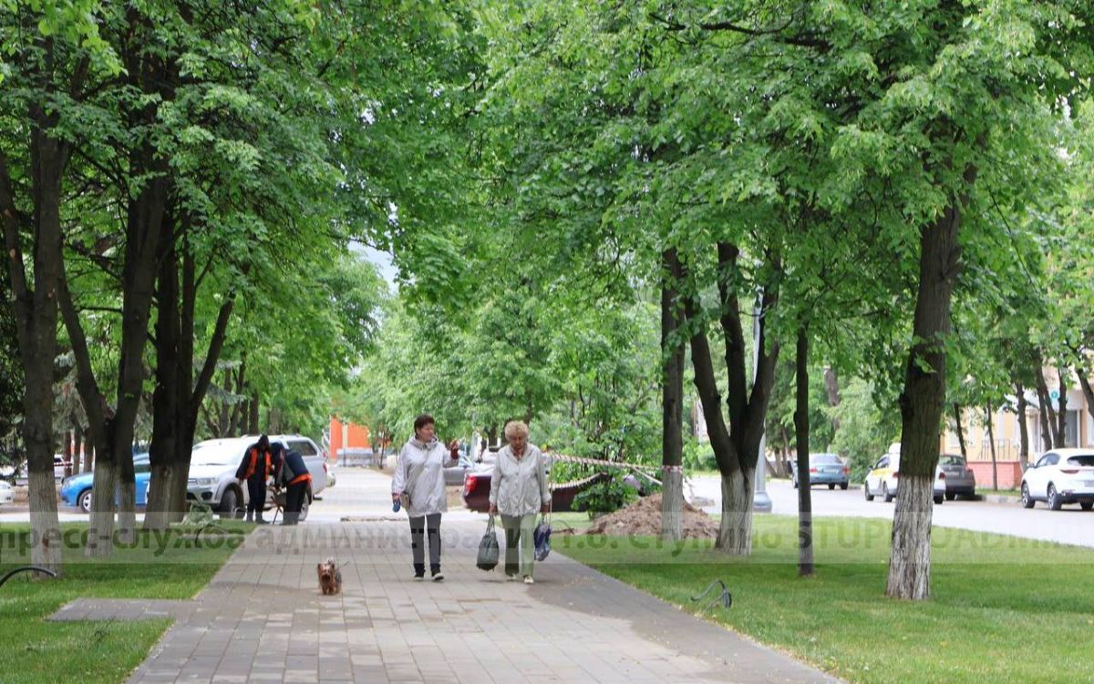 Глава городского округа Ступино Сергей Мужальских провел обход территории в  городе Ступино / Администрация городского округа Ступино