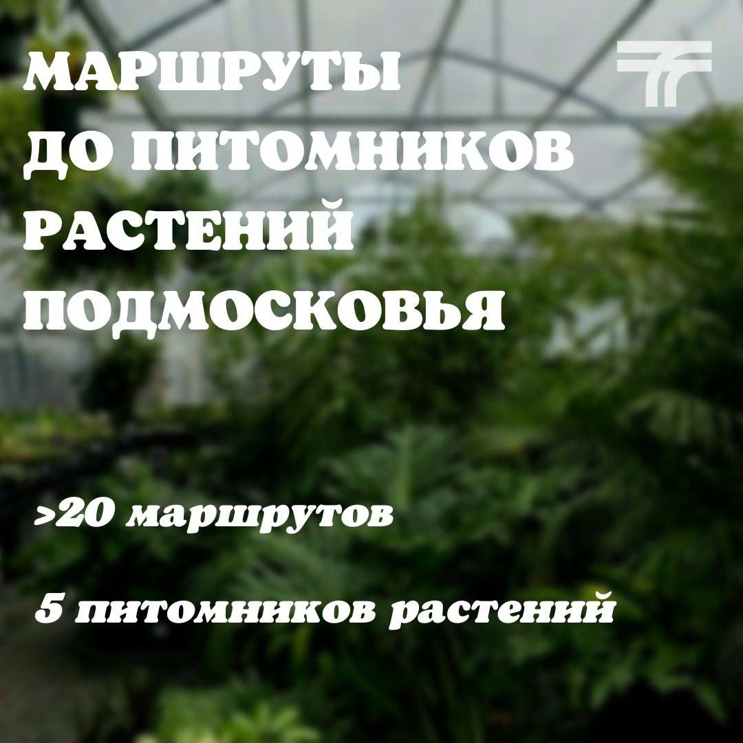 Минтранс Подмосковья собрал маршруты до областных питомников растений /  Администрация городского округа Ступино