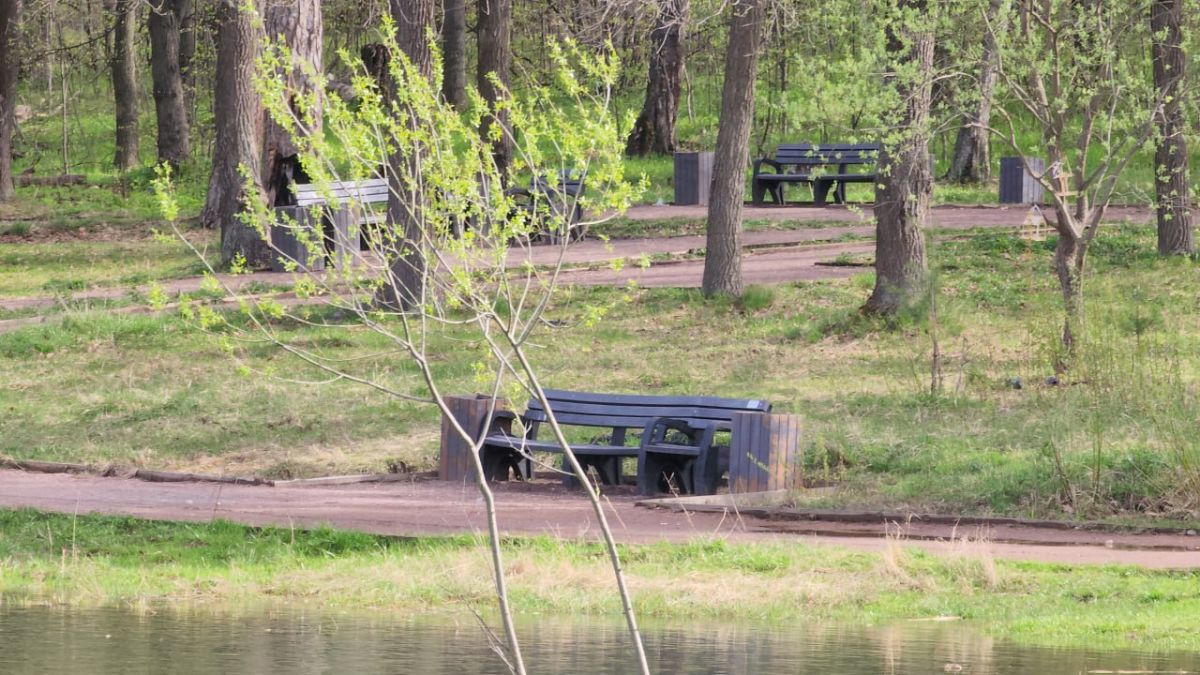 На интерактивной карте Подмосковья обозначили места отдыха на природе в  Ступино / Администрация городского округа Ступино