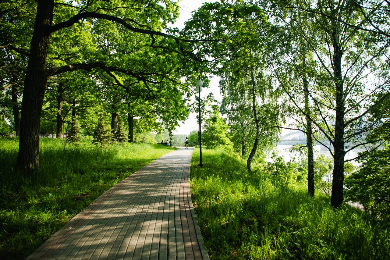 Химкинский лесопарк фото