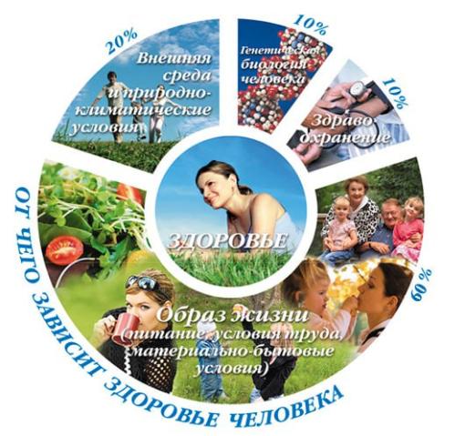 Напоминаем о правилах здорового образа жизни_04