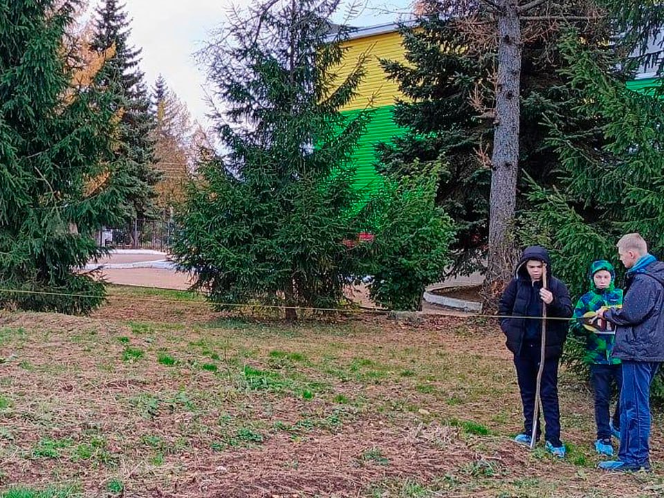 Питомник растений Малинской школы подготовили к зиме