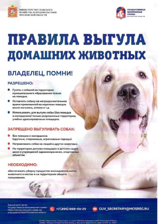 Правила выгула домашних животных