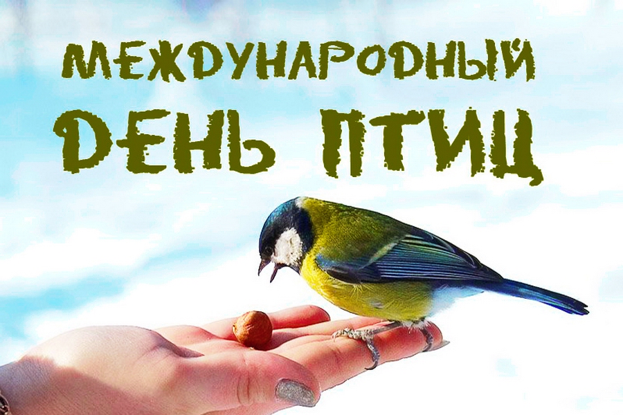 птицы
