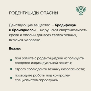 Россельхознадзор напоминает о соблюдении правил борьбы с грызунами на сельхозугодьях1