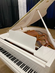 приобретен концертный рояль в Камерный зал филармонии