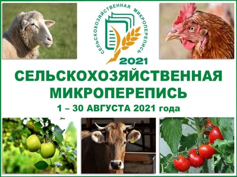 Сельскохозяйственная микроперепись 2021 года