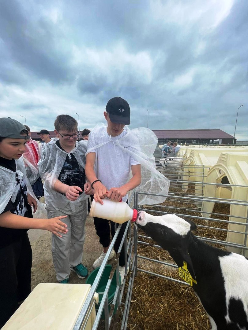 Студенты Ступинского техникума имени А. Туманова посетили с экскурсией молочную ферму «ЭкоНива».1