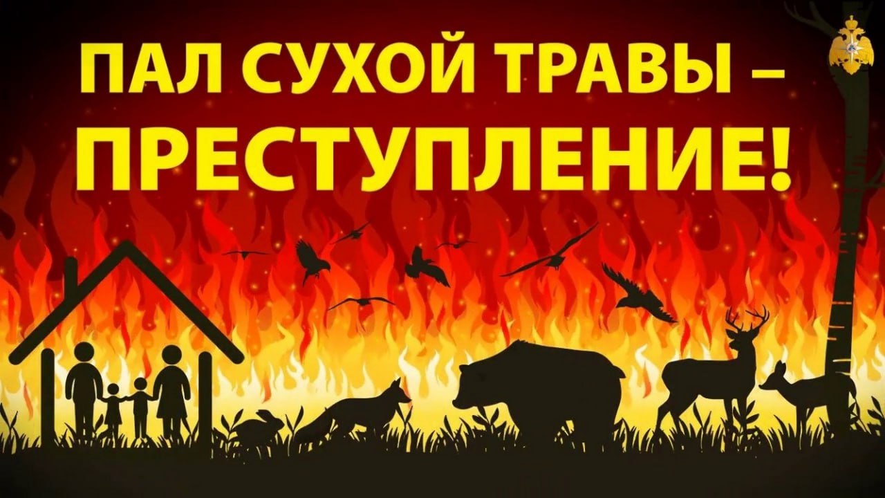 Ступинцам напоминают- пал сухой травы запрещён!
