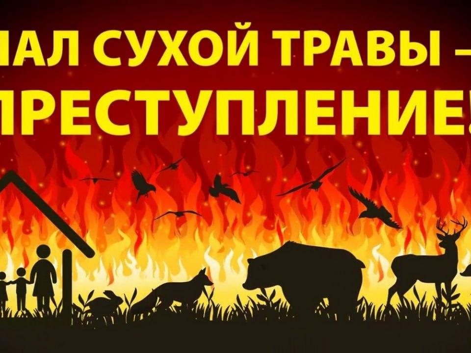 Ступинцам напоминают- пал сухой травы запрещён!