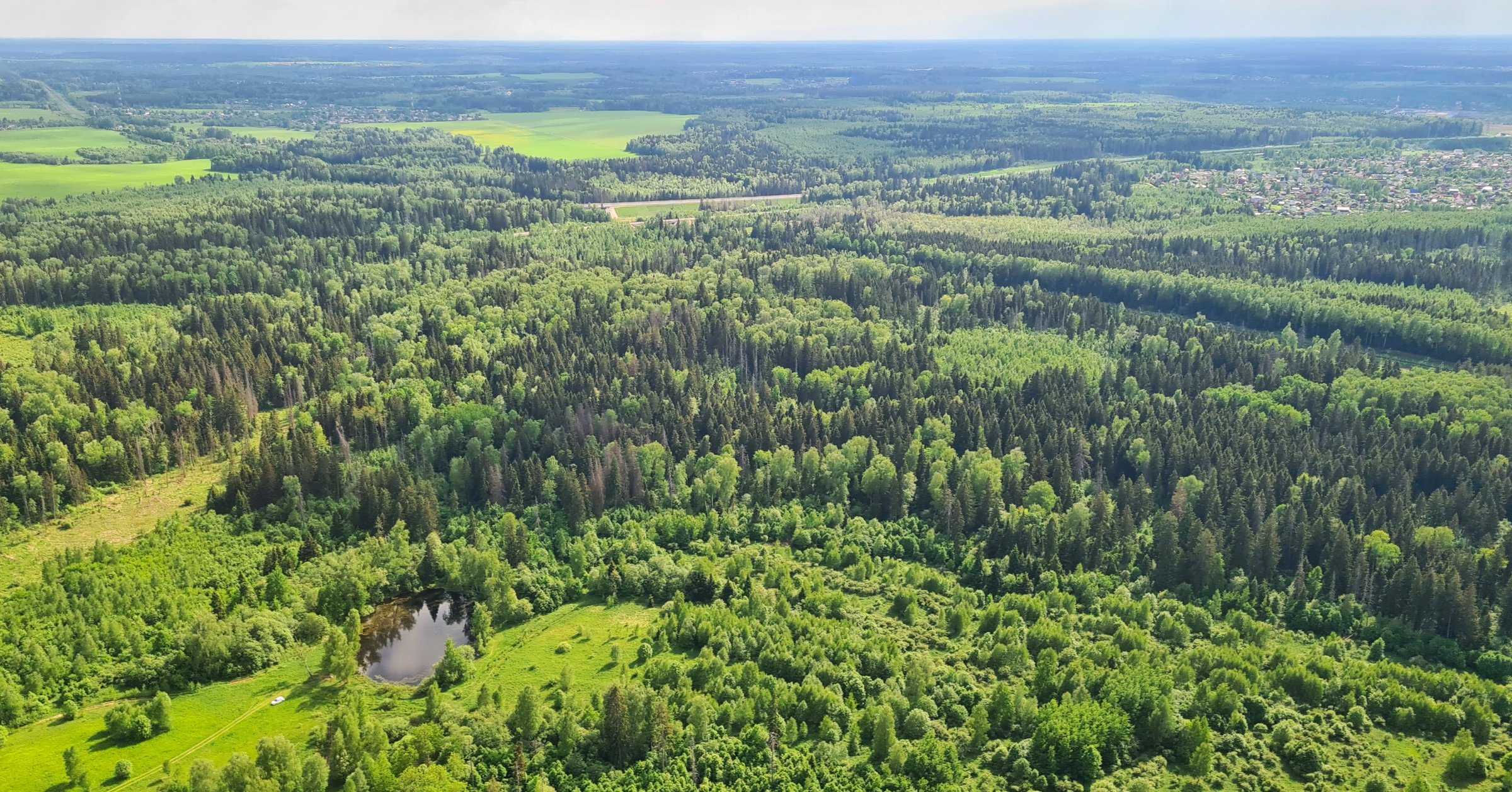 Московские леса