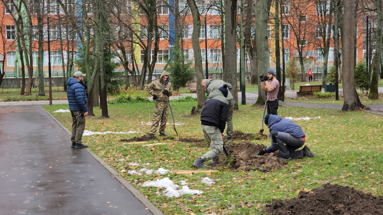 Туи и красные клены высадили на аллее в парке имени Островского