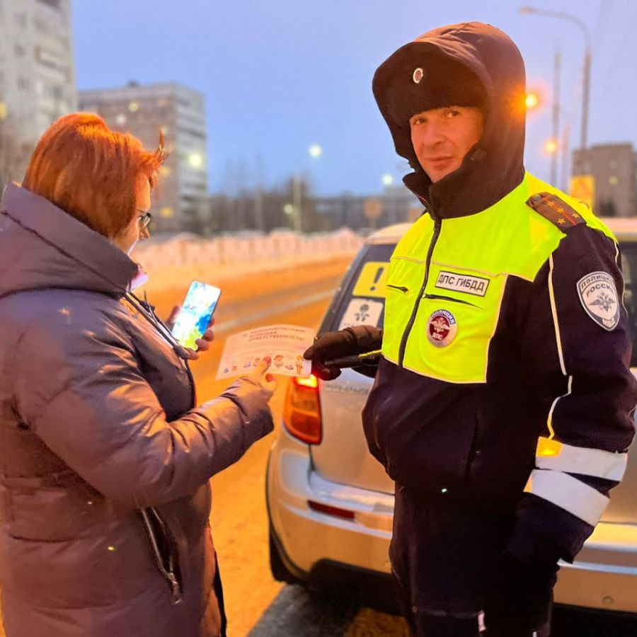 В Ступино полицейские провели акцию «Пристегни самое дорогое» /  Администрация городского округа Ступино