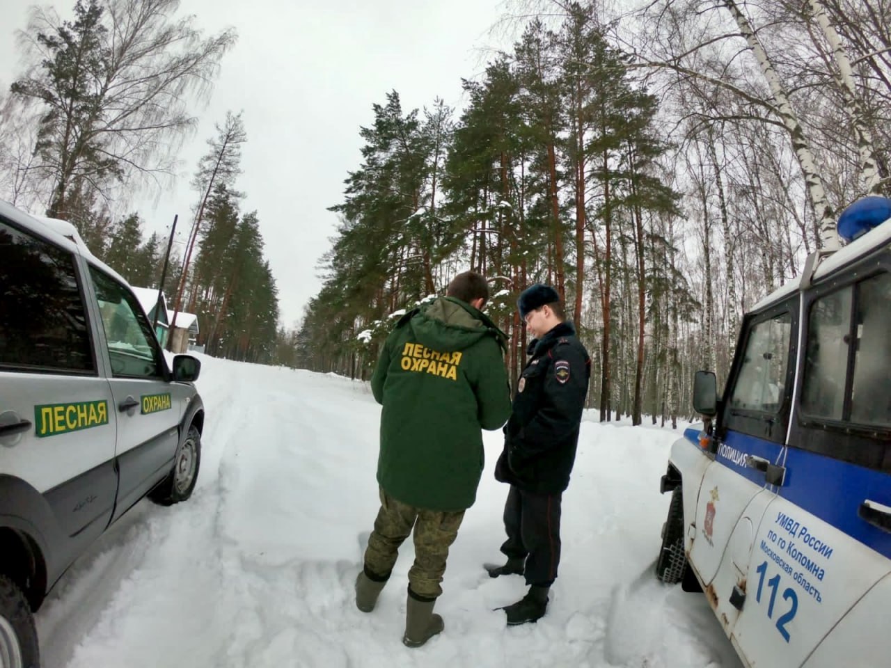 В Ступинском лесничестве стартовала операция Ёлочка