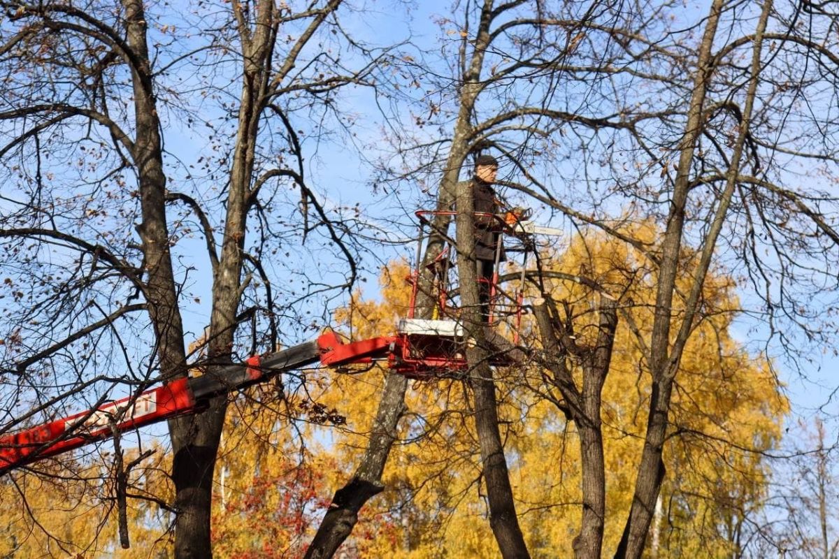 Ведутся работы по опиловке аварийных деревьев, расположенных в сквере имени  Владимира Полякова / Администрация городского округа Ступино