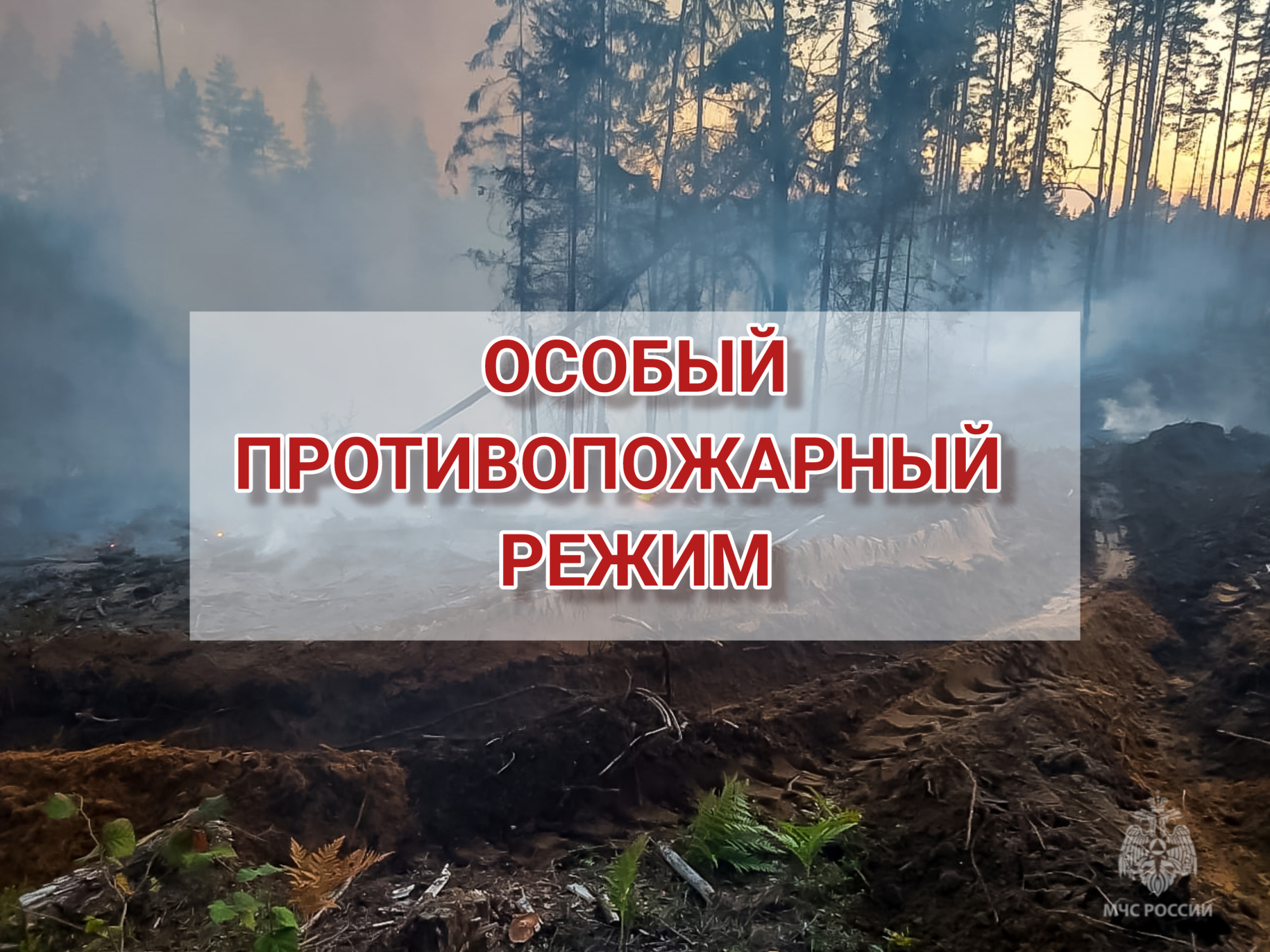 vnimanie-na-territorii-pskovskoy-oblasti-ustanovlen-osobyy-protivopozharnyy-rezhim_1683878560637799107__2000x2000