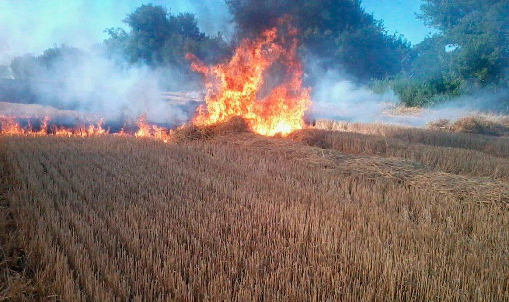 возгорания сухой растительности на землях сельскохозяйственного назначения