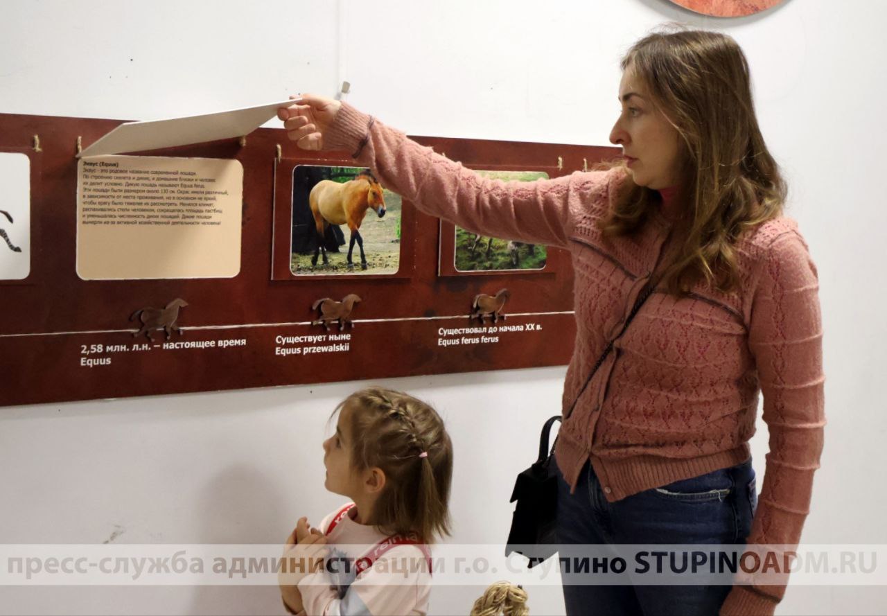 Выставка «Лошадь. Equus. Hippos» открылась в Ступинском историко-краеведческом музее.