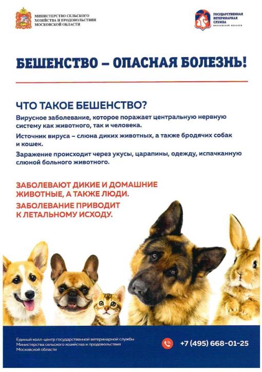 Бешенство - опасная болезнь