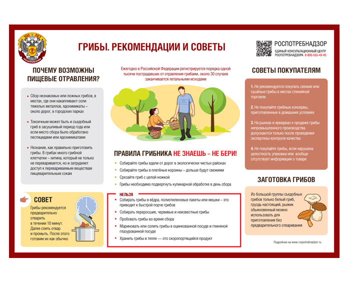 Грибы