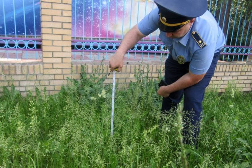 Инспекторы Госадмтехнадзора Московской области следят за содержанием зеленых насаждений