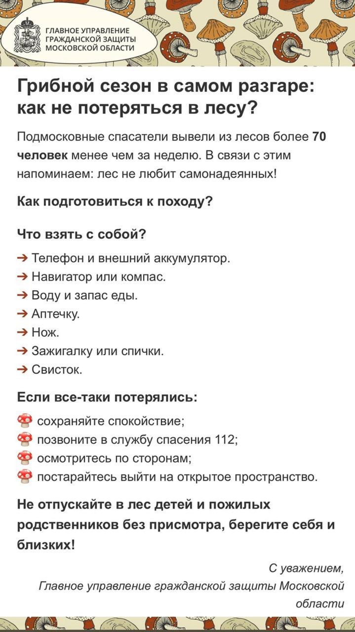 Подмосковные спасатели #Мособлпожспас вывели из лесов более 70 человек  менее чем за неделю / Администрация городского округа Ступино