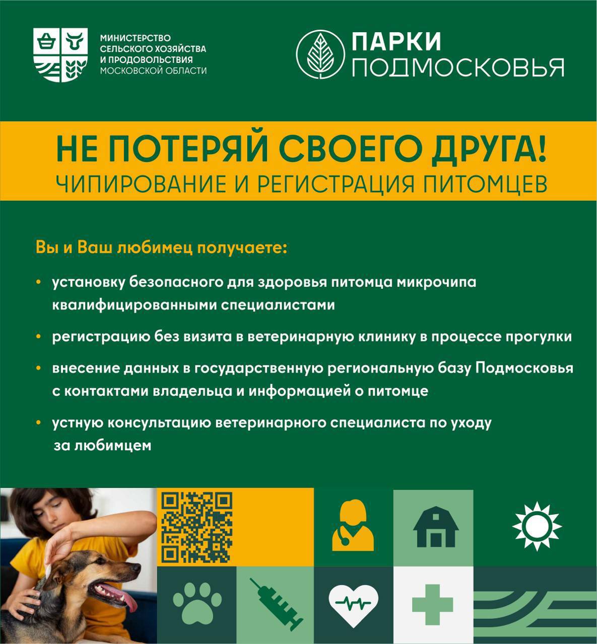 Не потеряй пушистого друга