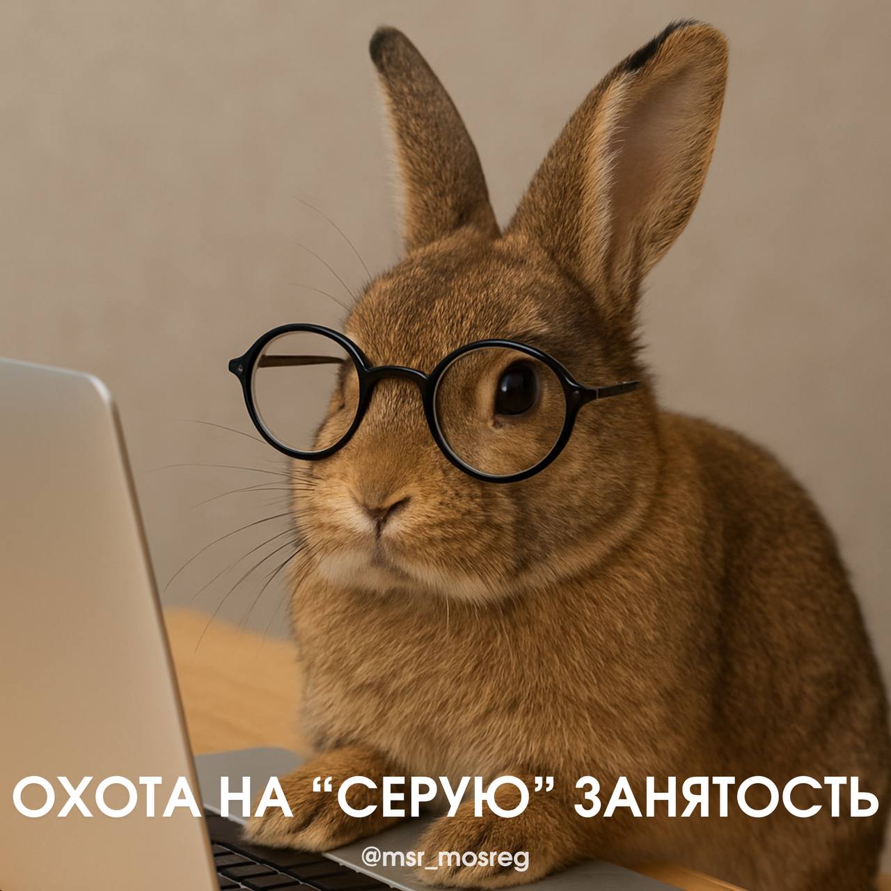 Охота на «серую» занятость