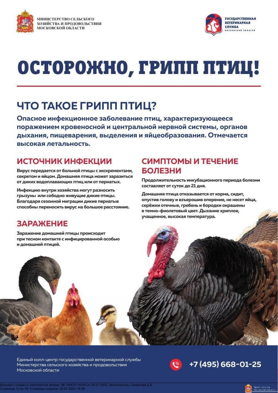 Осторожно- грипп птиц!