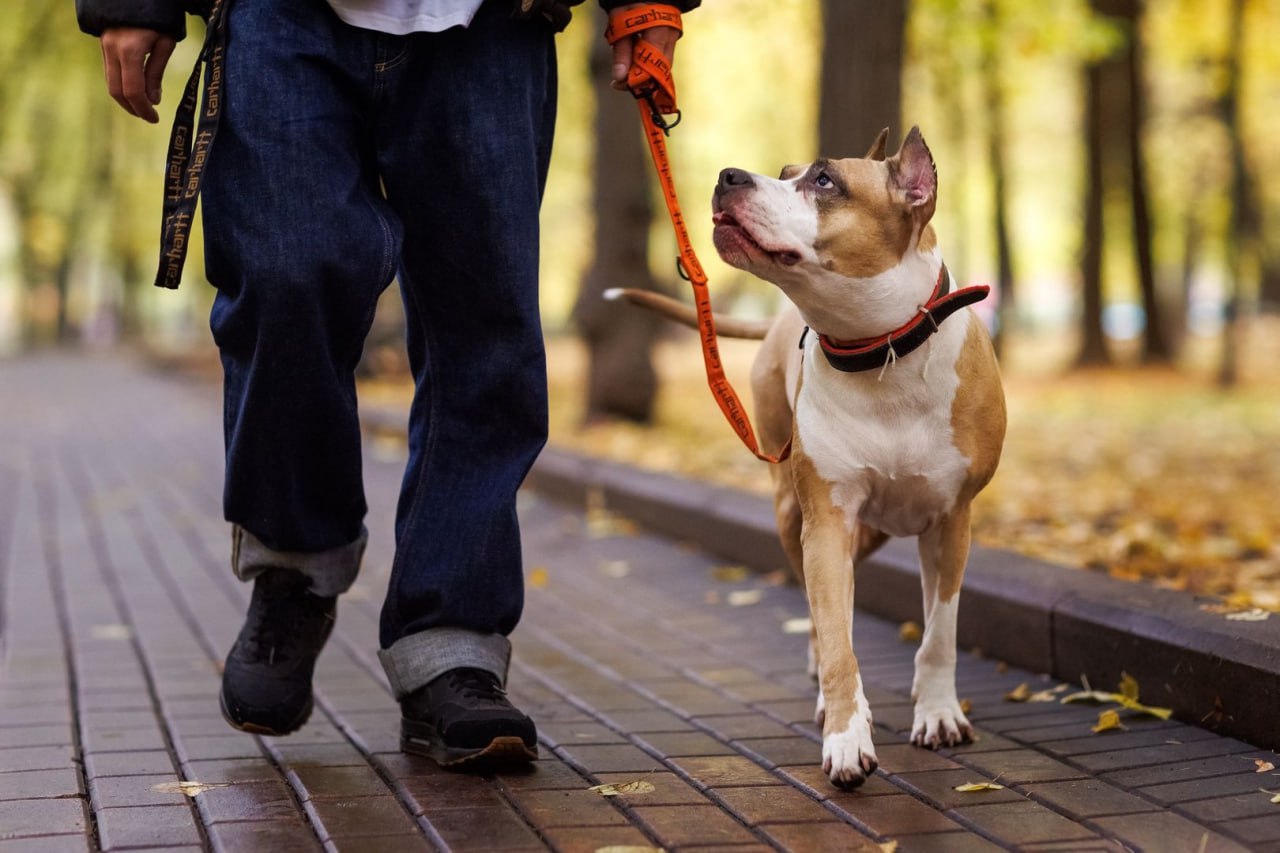 photo_2025-11-10_15-05-02