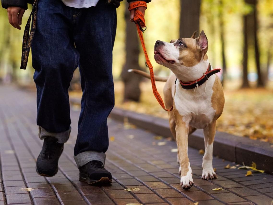 photo_2025-11-10_15-05-02