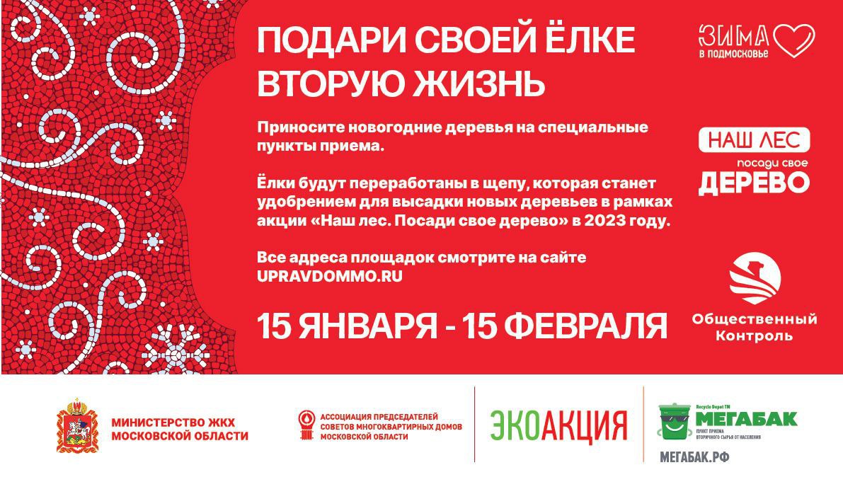 Научно исследовательский проект вторая жизнь новогодней елки