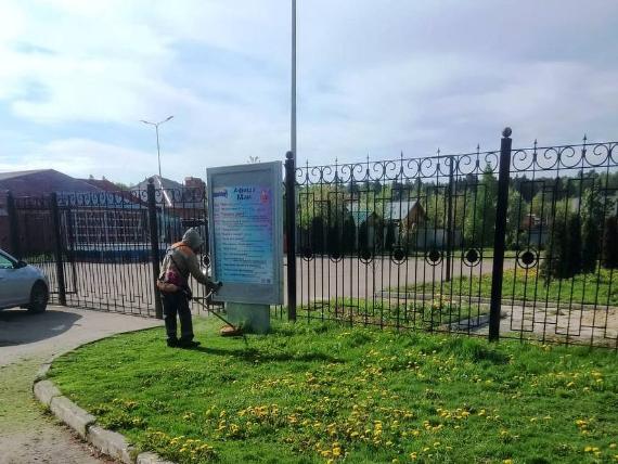 покос травы_