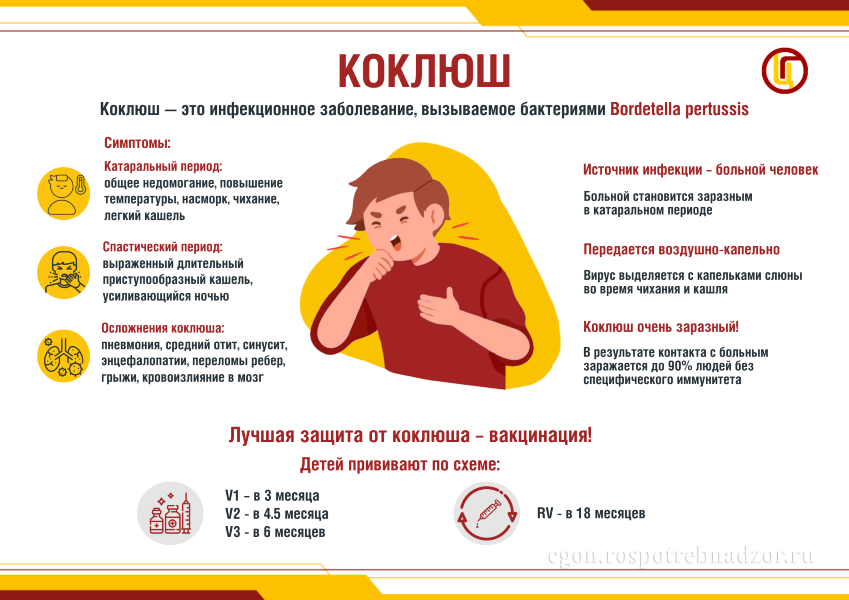 Приложение