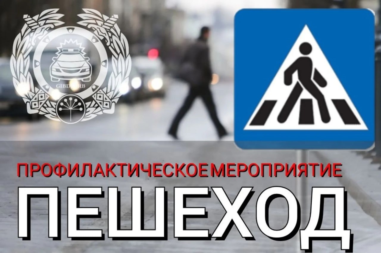 Профилактическое мероприятие «Пешеход» пройдет в Ступино08