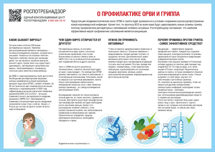 Профилактика гриппа