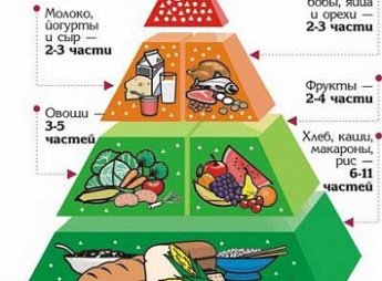 Рационы питания и Пищевая пирамида1