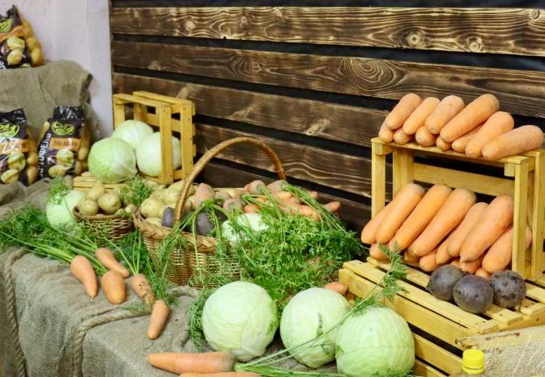 с профессиональным праздником_1210